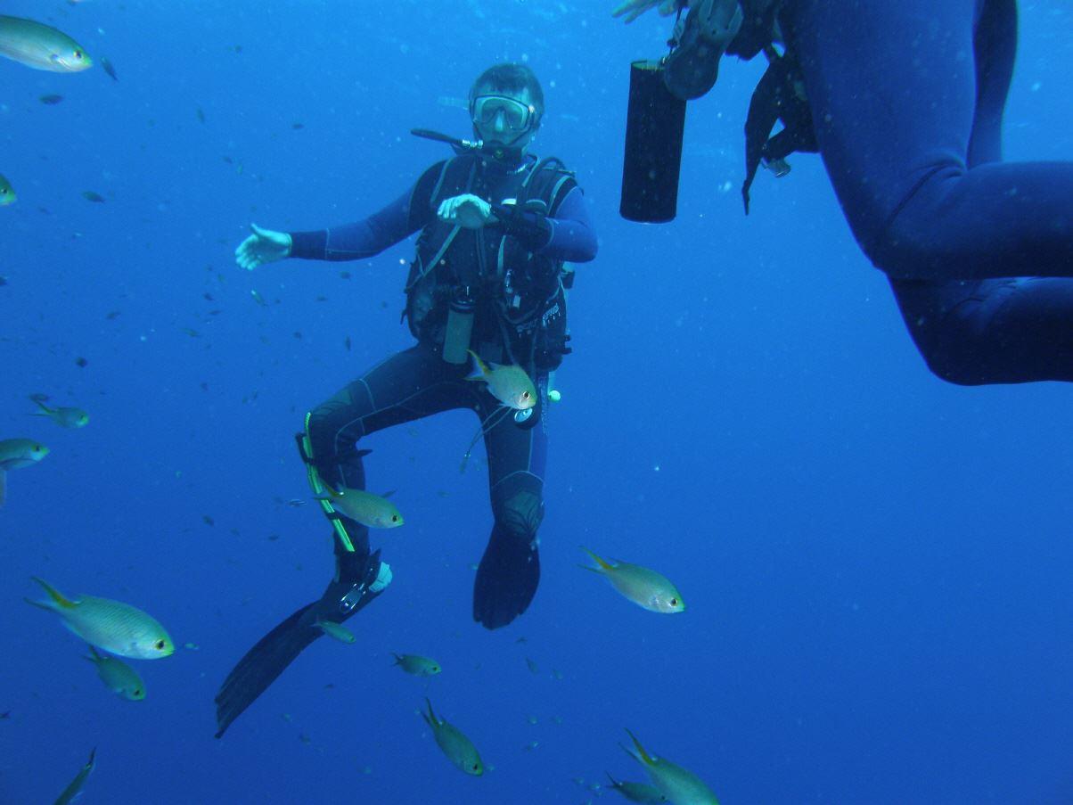 Das wachsame Auge während der Ausbildung